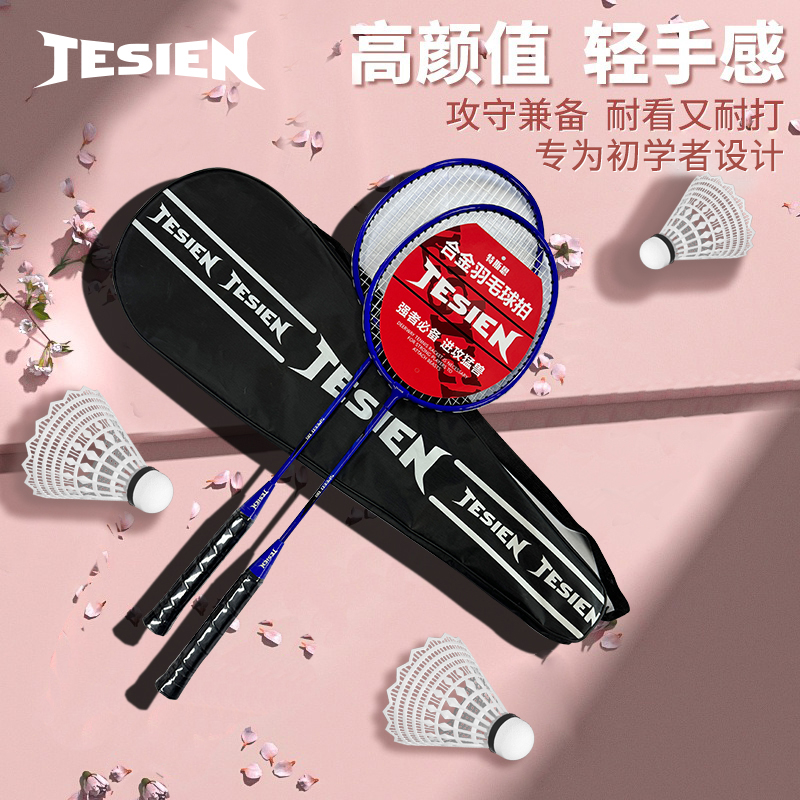 TESIEN特斯恩铁合金分体羽毛球拍